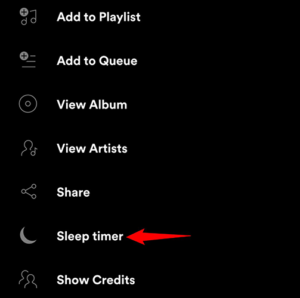 sleep-timer-spotify
