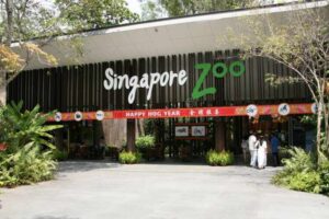 Singapore Zoo