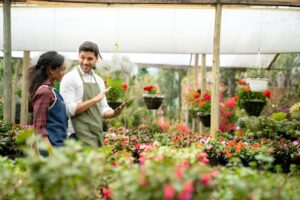 Know Why Urvann Become the Most Popular Online Plant Nursery in Delhi