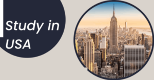 Factors that Influence International Students to Study in the USA