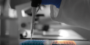 Quality Control Services: Your Key to Happy Customers