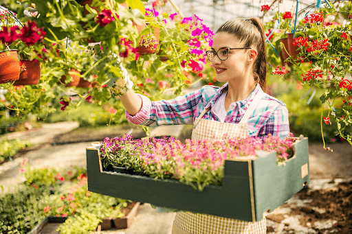 Best Flowering Plants for your Ghaziabad Home