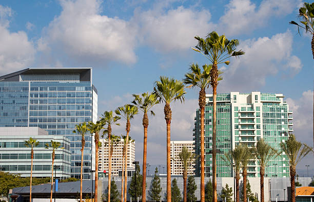 Why You Should Consider IT Managed Support in Irvine for Your Business