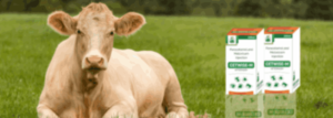 Expanding veterinary PCD franchise opportunities in Bundi