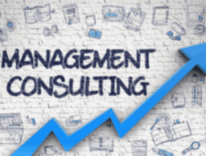How Can a Management Consultant Help You Secure a Chartered Accountant Loan