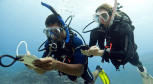 How to Book a PADI Open Water Diver Course in Andaman