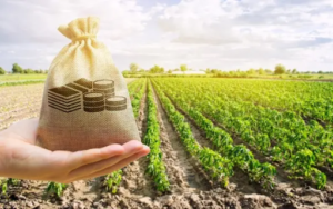 How to Check Eligibility Conditions for Loan Against Agriculture Property?