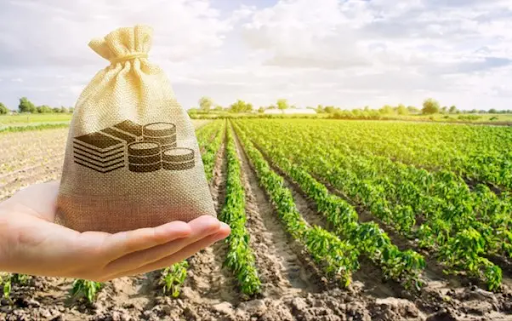 How to Check Eligibility Conditions for Loan Against Agriculture Property?