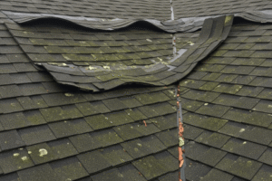 Common Roofing Problems in Kissimmee’s Humid Climate and How to Prevent Them
