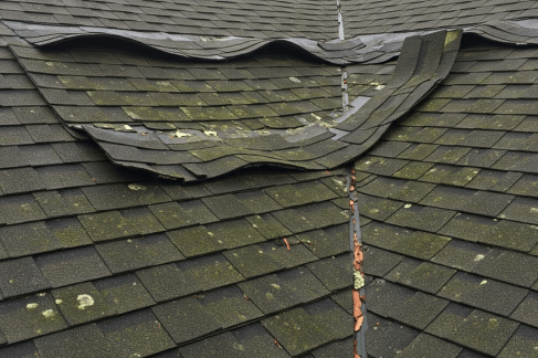 Common Roofing Problems in Kissimmee’s Humid Climate and How to Prevent Them