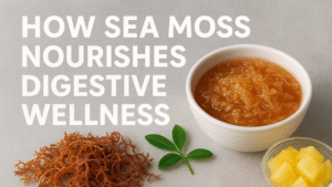 How Sea Moss Nourishes Digestive Wellness