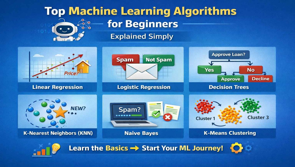 Top Machine Learning Algorithms for Beginners Explained Simply