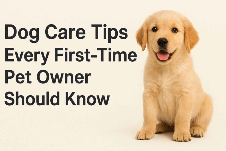 Dog Care Tips Every First-Time Pet Owner Should Know