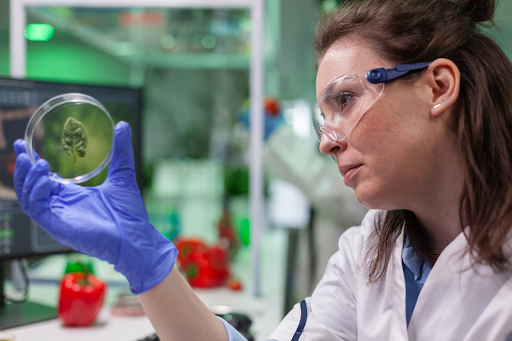 Driving Discovery: The Critical Importance of Active Proteins in Biological Research